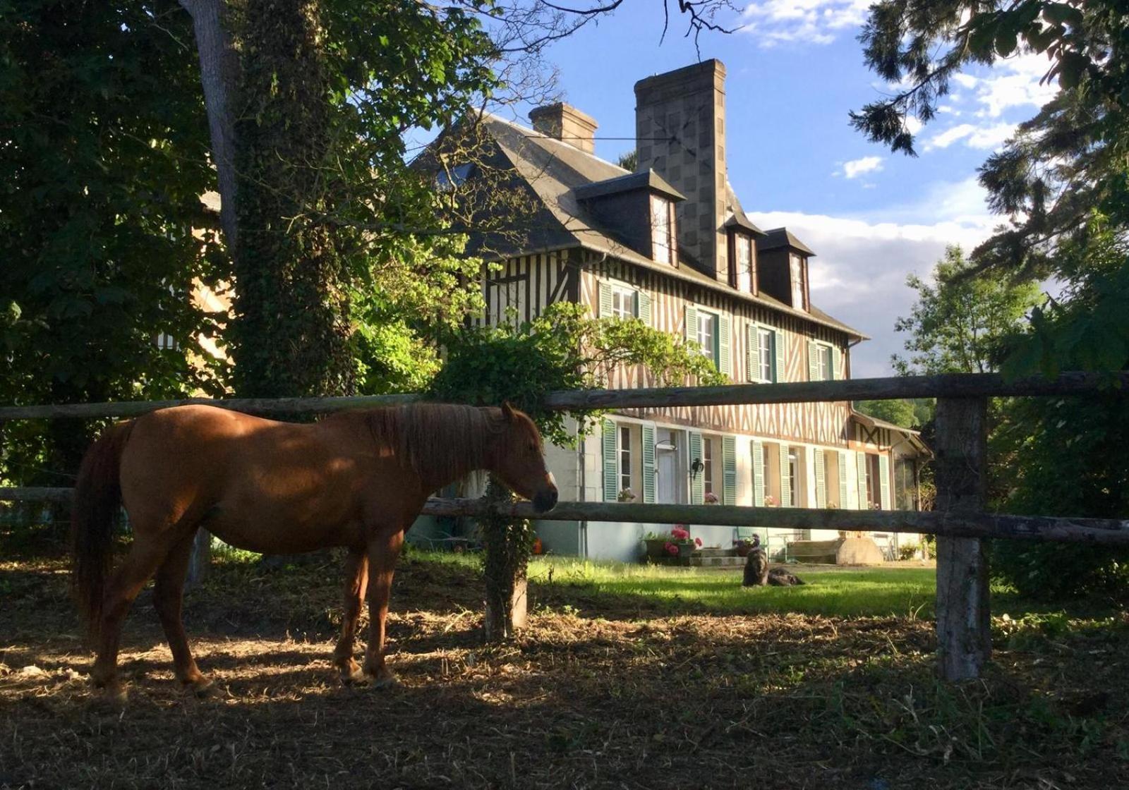 Le Domaine Lieu Bill, Normandie Blonville-sur-Mer Ngoại thất bức ảnh