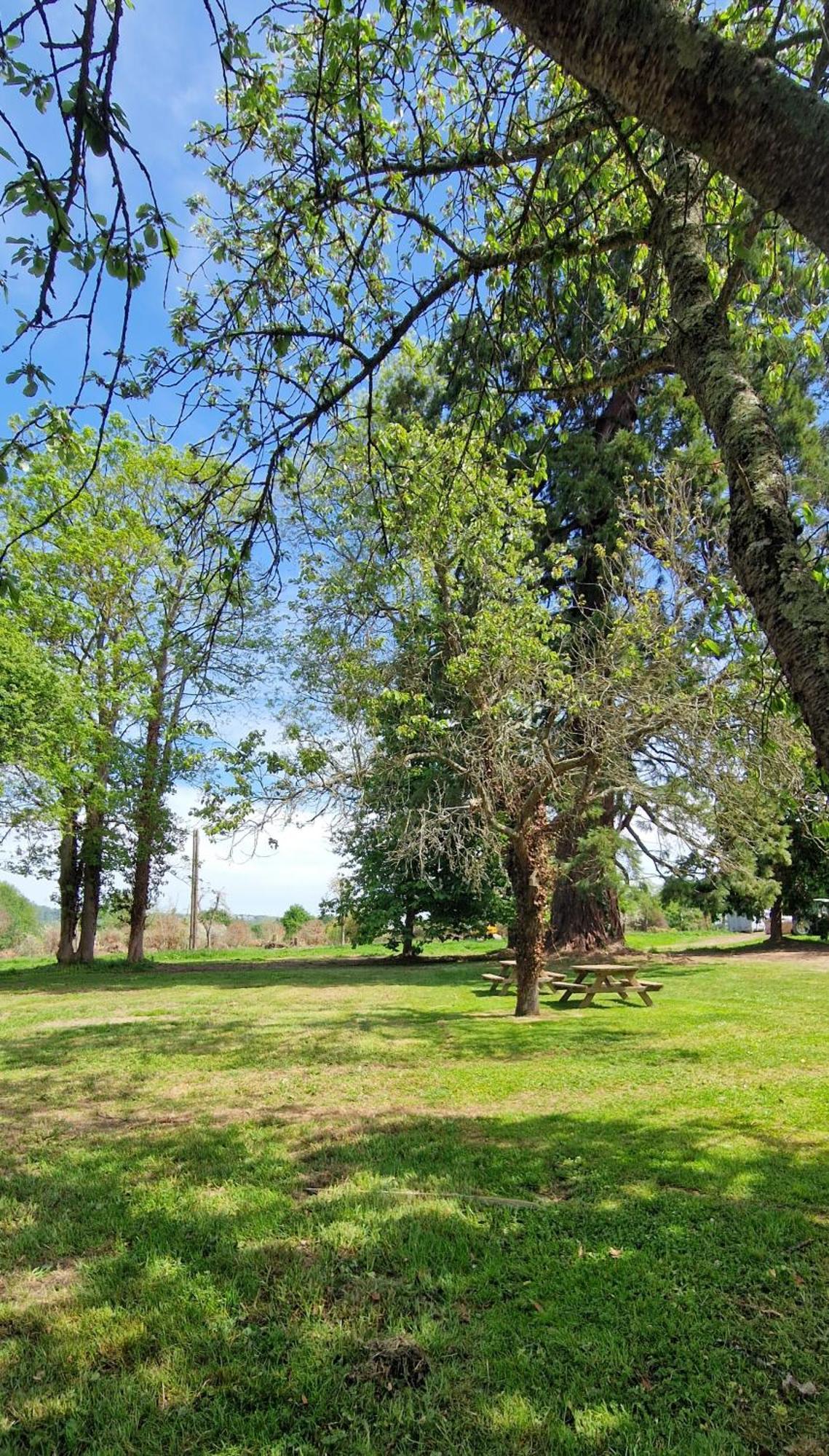 Le Domaine Lieu Bill, Normandie Blonville-sur-Mer Ngoại thất bức ảnh